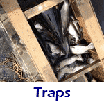 Photos Traps